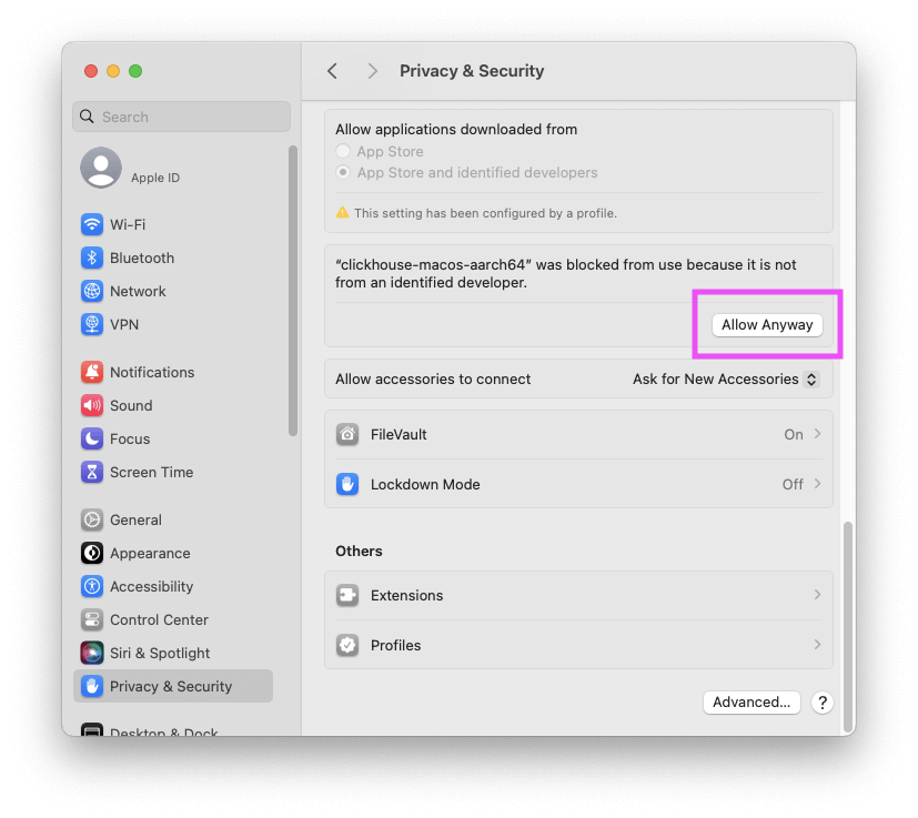 MacOS Privacy & Security settings showing Allow Anyway button - Zoomed